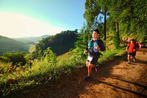 BIB: 
                            <button type="button" onclick="openModal(19171007)" class="btn btn-primary btn-sm float-right btn-popup" data-toggle="modal" data-target=".modal-high-quality">
                        <i class="fas fa-shopping-cart"></i> Add to Cart
                    </button>
                                            <button type="button" onclick="isThisMe(19171007, true)" class="btn btn-success btn-sm float-right btn-popup btn-isme hidden" data-toggle="tooltip" data-placement="bottom" title="นี่คือรูปของคุณใช่ไหม คลิกที่นี่เพื่อเอาเข้าอัลบั้ม">
                        <i class="fas fa-plus"></i> Add to album
                    </button>
                    <button type="button" onclick="isThisMe(19171007, false)" class="btn btn-warning btn-sm float-right btn-popup btn-isnotme hidden">
                        <i class="fas fa-ban"></i> Remove from album
                    </button>